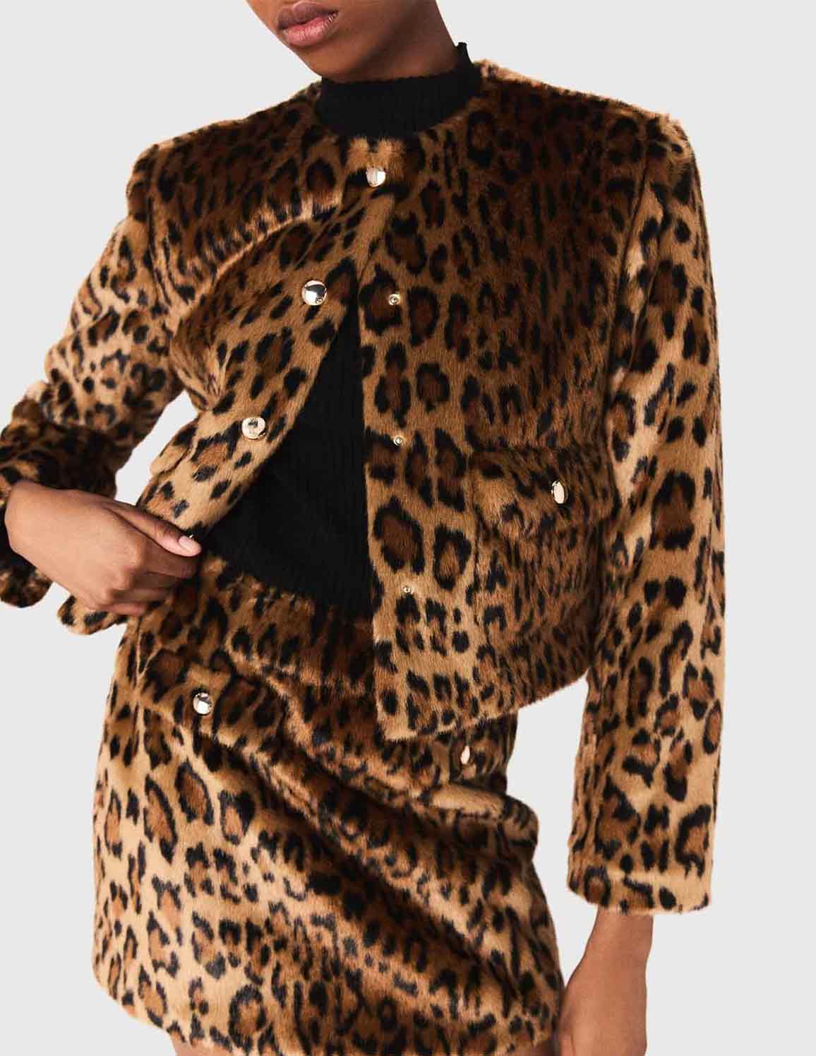 Leopard